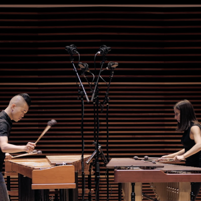 Fisher / Lau Project Marimba One
